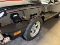 Plymouth Duster - <small></small> 74.000 € <small>TTC</small> - #11