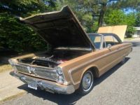 Plymouth Fury vip  - <small></small> 17.100 € <small>TTC</small> - #9