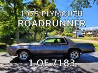 Plymouth Road runner - <small></small> 24.000 € <small>TTC</small> - #1