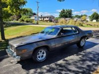 Plymouth Road runner - <small></small> 24.000 € <small>TTC</small> - #8