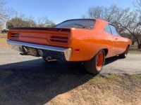 Plymouth Road runner - <small></small> 140.000 € <small>TTC</small> - #6