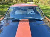 Plymouth Road runner Roadrunner  - <small></small> 56.000 € <small>TTC</small> - #18