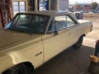 Plymouth Satellite - <small></small> 19.000 € <small>TTC</small> - #6