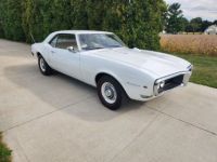 Pontiac Firebird - <small></small> 41.000 € <small>TTC</small> - #1