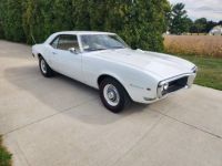 Pontiac Firebird - <small></small> 40.000 € <small>TTC</small> - #1