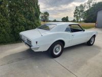 Pontiac Firebird - <small></small> 40.000 € <small>TTC</small> - #3