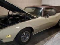 Pontiac Firebird - <small></small> 35.000 € <small>TTC</small> - #23