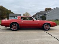 Pontiac Firebird - <small></small> 24.000 € <small>TTC</small> - #5