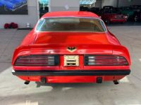 Pontiac Firebird - <small></small> 50.000 € <small>TTC</small> - #6