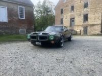 Pontiac Firebird - <small></small> 34.000 € <small>TTC</small> - #2