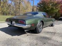 Pontiac Firebird - <small></small> 34.000 € <small>TTC</small> - #10