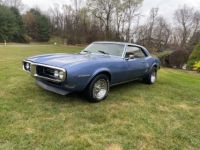 Pontiac Firebird - <small></small> 32.000 € <small>TTC</small> - #3