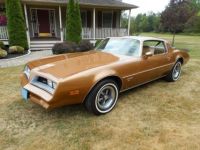 Pontiac Firebird - <small></small> 33.000 € <small>TTC</small> - #1