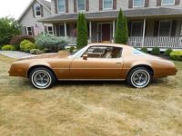 Pontiac Firebird - <small></small> 33.000 € <small>TTC</small> - #2