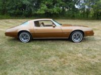 Pontiac Firebird - <small></small> 33.000 € <small>TTC</small> - #6