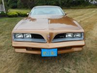 Pontiac Firebird - <small></small> 33.000 € <small>TTC</small> - #8