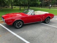 Pontiac Firebird - <small></small> 28.000 € <small>TTC</small> - #3