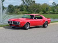 Pontiac Firebird - <small></small> 53.000 € <small>TTC</small> - #1