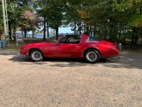 Pontiac Firebird - <small></small> 28.000 € <small>TTC</small> - #20