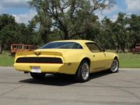 Pontiac Firebird - <small></small> 43.000 € <small>TTC</small> - #15