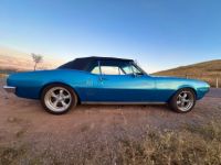 Pontiac Firebird - <small></small> 48.600 € <small>TTC</small> - #6