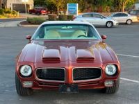 Pontiac Firebird - <small></small> 47.500 € <small>TTC</small> - #9