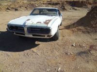 Pontiac Firebird - <small></small> 25.400 € <small>TTC</small> - #8