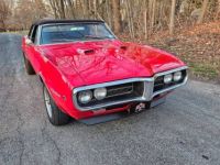 Pontiac Firebird - <small></small> 27.300 € <small>TTC</small> - #6