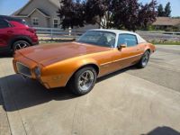 Pontiac Firebird - <small></small> 37.800 € <small>TTC</small> - #1