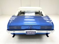 Pontiac Firebird - <small></small> 34.900 € <small>TTC</small> - #7