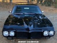 Pontiac Firebird - <small></small> 41.300 € <small>TTC</small> - #11