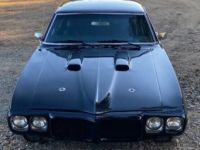 Pontiac Firebird - <small></small> 41.300 € <small>TTC</small> - #12