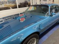 Pontiac Firebird - <small></small> 66.300 € <small>TTC</small> - #25