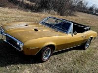 Pontiac Firebird  - <small></small> 39.300 € <small>TTC</small> - #1