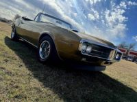 Pontiac Firebird  - <small></small> 39.300 € <small>TTC</small> - #4