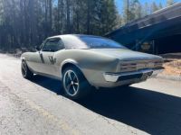 Pontiac Firebird 400 - <small></small> 46.400 € <small>TTC</small> - #6