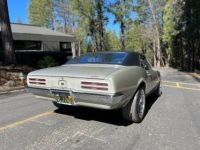 Pontiac Firebird 400 - <small></small> 46.400 € <small>TTC</small> - #9