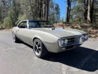 Pontiac Firebird 400 - <small></small> 46.400 € <small>TTC</small> - #12