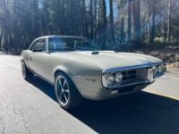 Pontiac Firebird 400 - <small></small> 46.400 € <small>TTC</small> - #13