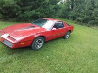 Pontiac Firebird trans am  - <small></small> 16.000 € <small>TTC</small> - #5