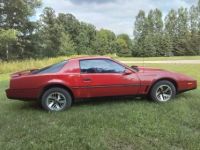 Pontiac Firebird trans am  - <small></small> 16.000 € <small>TTC</small> - #7