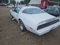 Pontiac Firebird trans am  - <small></small> 17.000 € <small>TTC</small> - #3