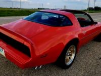 Pontiac Firebird trans am  - <small></small> 35.000 € <small>TTC</small> - #3