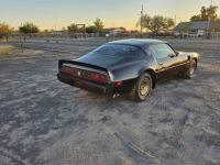 Pontiac Firebird trans am - <small></small> 22.000 € <small>TTC</small> - #7