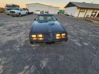 Pontiac Firebird trans am - <small></small> 22.000 € <small>TTC</small> - #17