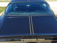 Pontiac Firebird transam  - <small></small> 29.000 € <small>TTC</small> - #14