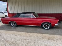 Pontiac GTO - <small></small> 94.000 € <small>TTC</small> - #6