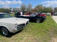 Pontiac GTO - <small></small> 65.000 € <small>TTC</small> - #10