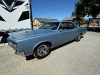 Pontiac GTO - <small></small> 51.000 € <small>TTC</small> - #1