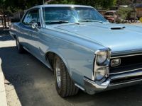 Pontiac GTO - <small></small> 51.000 € <small>TTC</small> - #4